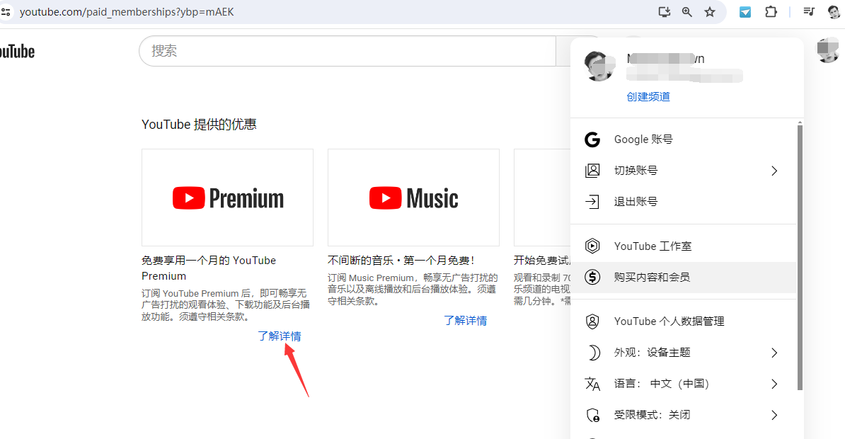 開通YouTube Premium 